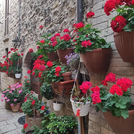 Appartement Antica *