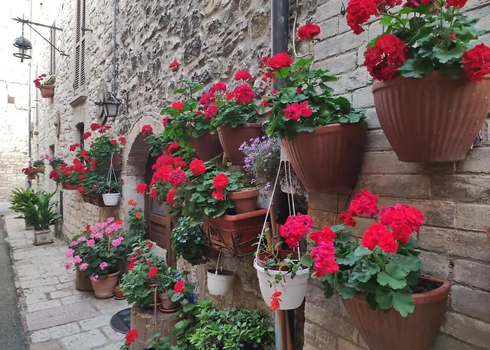 Apartamento Antica *